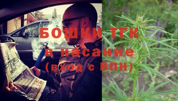 ГАЛЛЮЦИНОГЕННЫЕ ГРИБЫ Костерёво